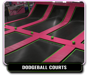 5-dodgeball